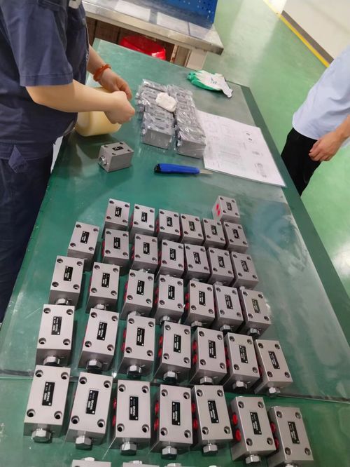 Latest company case about hydraulic lock valve export to USA